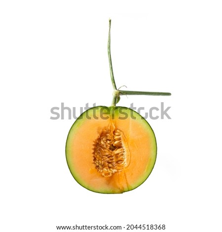 Sliced fresh melon or cantaloupe isolated on white background. Organic fruit. food.