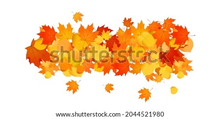 Pile of fallen leaves. Decorative line of orange, yellow and red autumn leaves.