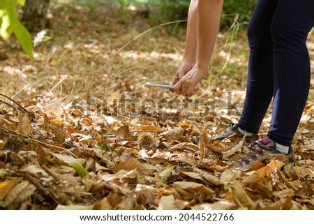 Unrecognizable young girl takes a picture with her mobile phone of a chestnut on the ground covered with leaves