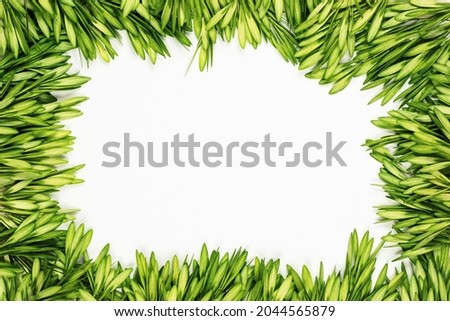 Nature summer composition on a beige background. Floral frame. greeting card. Flat lay, copy space, top view