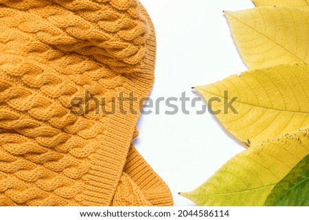 Yellow autumn leaves and knitted sweater as a fall background