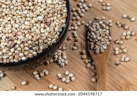 White sorghum (Sorghum bicolor) seeds on a wooden background. Photo produced in a studio