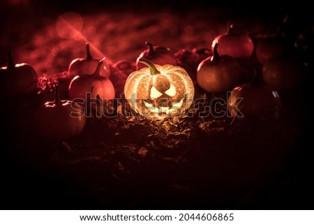 halloween jack-o-lantern on autumn leaves. Scary Halloween Pumpkin looking through the smoke. Glowing, smoking monster pumpkin from depths of hell