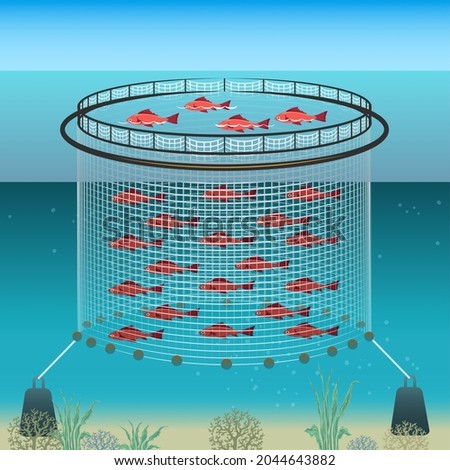 Floating farm. Marine agriculture enclosure, fish farming industrie polyester pool opening, underwater ocean farms technology nylon fishs corral equipment vector illustration