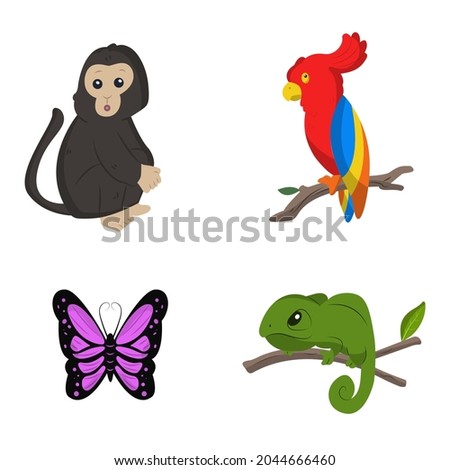 Group of Cute Exotic Animal in Flat Design