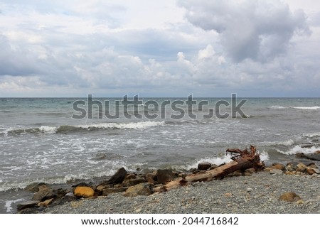 logs washed ashore by a storm against the background of the sea and the sky