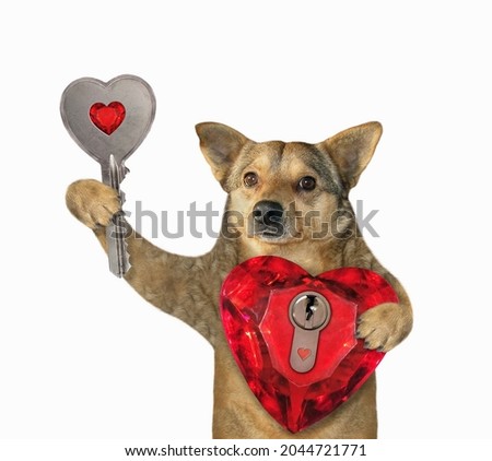 A beige dog holds a ruby heart shaped lock and a key to it. White background. Isolated.