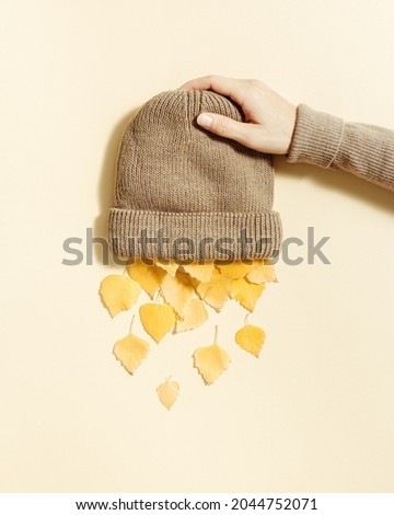 Autumn and fall arrives concept, natural yellow leaves falling from knit hat. Human hand shakes out yellow leaves from cap. Warm cozy clothes for cold weather. Creative autumnal Flat lay pastel color Royalty-Free Stock Photo #2044752071