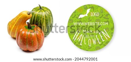 Three decorative pumpkins on white background for Halloween