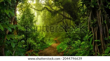 Tropical jungles with fog of Southeast Asia Royalty-Free Stock Photo #2044796639