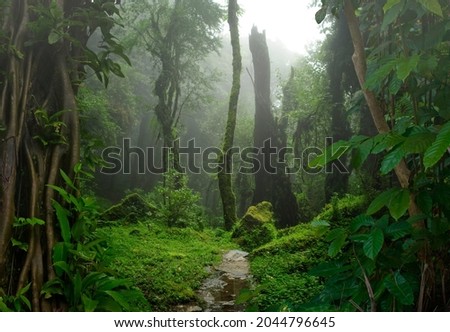 Tropical jungles with fog of Southeast Asia Royalty-Free Stock Photo #2044796645