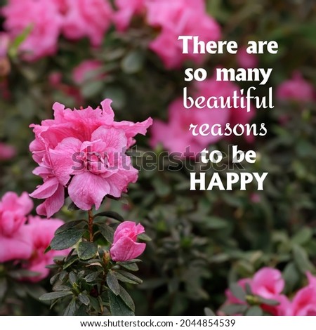 Positive quote about happiness on a background of flowers. There are so many beautiful reaaons to be happy.