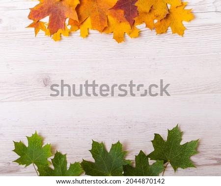 Top view of maple leaves on a wooden background. Empty space for text. Yellow foliage on a green background. The concept of the changing seasons