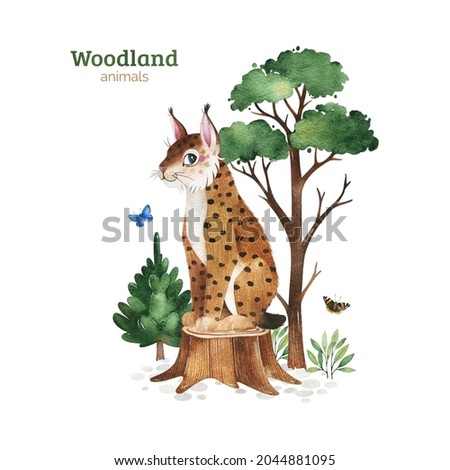 Cute Woodland collection.Watercolor illustration with pine tree,lynx,butterflies,tree stump,bushes.Perfect for education, 
baby shower,room decor,template cards,books,baby clothes,t-shirt print.