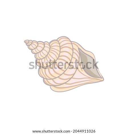 Cute sea shell on a white background Vector illustration, hand-drawn.