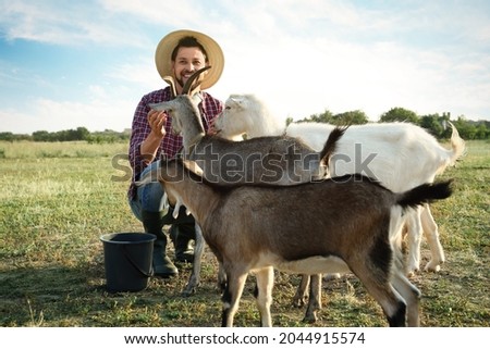 Man with goats at farm. Animal husbandry