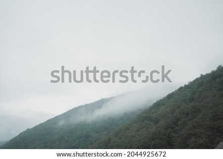 Thick fog over the mountains. Forest in the mountains. Beautiful picture for computer screensaver. A place for a text about nature.