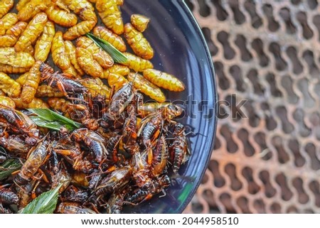 Crispy insects are served in black ceramic plates placed on tables made of steel grates, and fried insects are a popular food paired with alcoholic beverages as they are easy to find and very popular Royalty-Free Stock Photo #2044958510