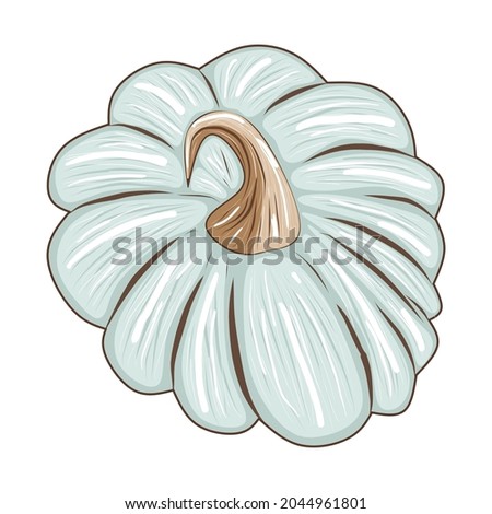 Cute blue pumpkin isolated on white background, stock vector illustration for design and decor, sticker, print