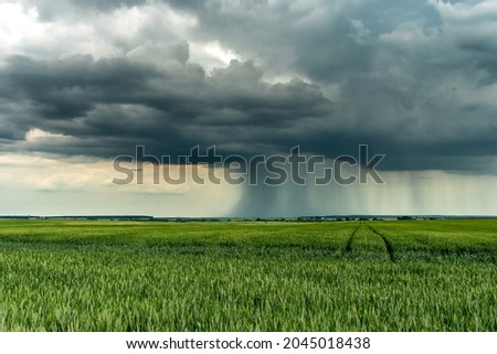 the movement of clouds over an agricultural field with wheat. A storm and rain gray cloud floats across the sky with a visible rain band. Heavy rain in the village in summer Royalty-Free Stock Photo #2045018438