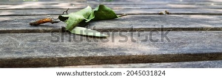 Some dry but still green leaves lay on the wooden table. This image is very attractive and impressive, very suitable to be used as background quotes or words of wisdom, or greeting cards.