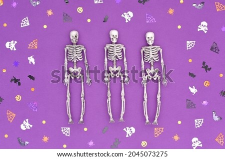 Happy Halloween concept. Halloween background of three skeletons on a purple background inside a confetti frame in the form of skulls, spiders, cobwebs, bats and ghosts.