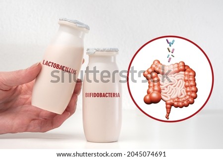 Lactobacillus and bifidobacteria. Bifidobacteria small bottle. Beneficial probiotics for intestines. Lactobacillus acidophilus. Lactobacillus in human hand. Yoghurt concept with beneficial bacteria Royalty-Free Stock Photo #2045074691