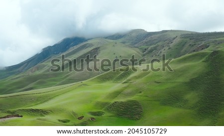 An aerial landscape with green mountains on which small black animals graze against the background of a cloudy overcast sky. An idyllic landscape with green hills shot on a copter in division.