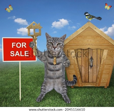 A gray cat  holds a house key near a log cabin with a sign House for sale.