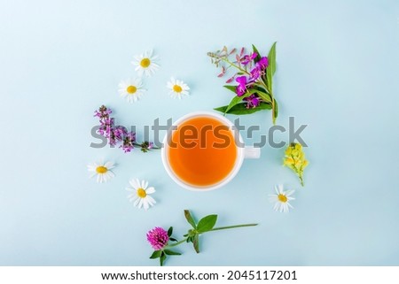 Cup of herbal tea with flowers chamomile on blue background. Organic floral, green asian tea. Herbal medicine at seasonal diseases and treatment of colds, flu, heat. copy space for text