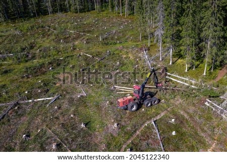 Forest harvester cleans fresh cut tree from branches, fully automatic machine in forest, top down aerial photo