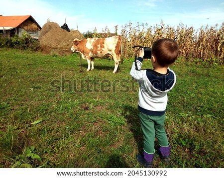 a child takes a picture of a cow in Romania.  Kid play with a camera. Making photo concept. Kid with a camera