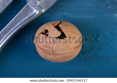 a cracked walnut on a blue concrete or slate background. healthy nut food for the brain. The concept of the background of fresh walnuts. top view. A natural product.