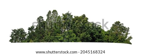 Green trees isolated on white background. forest and leaves in summer rows of trees and bushes
 Royalty-Free Stock Photo #2045168324