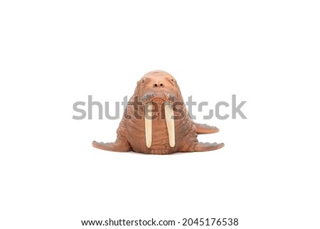 Plastic toy, walrus, isolated on a white background. Toy animals