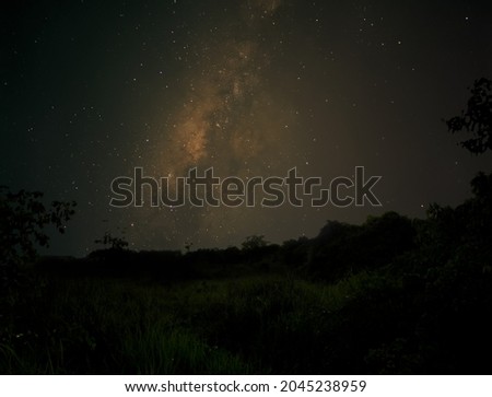 Starry sky in forest landscape. Night in forest with milky way