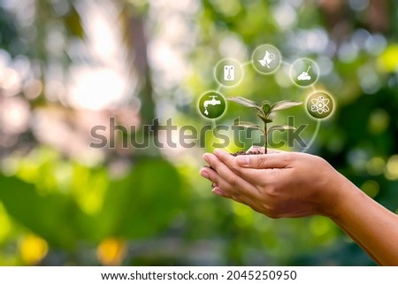 Sapling growing on soil in farmer's hands and plant growth factor icon, afforestation, and forest conservation concept. Royalty-Free Stock Photo #2045250950