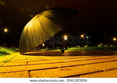 umbrella on the sidewalk in the park at night