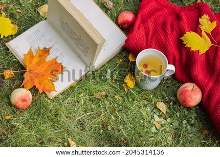 Autumn composition on light nature background. Open book, cup of hot tea and cozy sweater on autumn grass with leaves in park. Top view. High quality photo