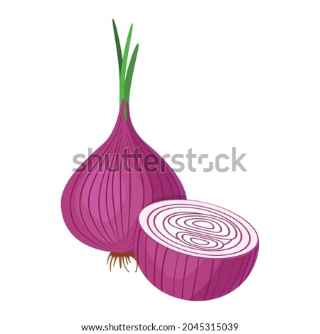 Red onion. A whole onion with green leaves and half of the onion, cut across. A delicious and healthy root vegetable used in cooking. Vector illustration isolated on a white background for design. Royalty-Free Stock Photo #2045315039