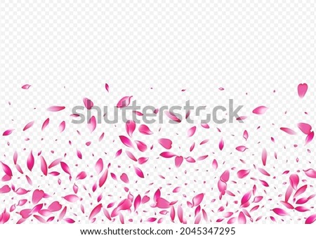 Light Petal Vector Transparent Background. Floral Soft Congratulation. Rose Sky Texture. Apple Blow Illustration. White Cherry Romance Template.