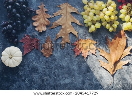 Seasonal composition with  pumpkin, grapes and autumn leaves on dark stone table in daylight, Halloween or Thanksgiving background with space for text