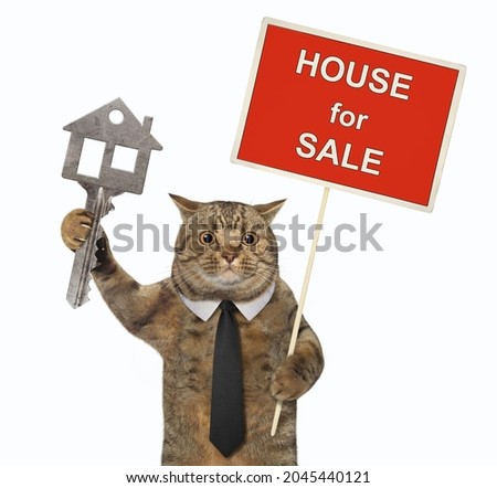 A beige cat in a black tie holds a house key and a sign House for sale. White background. Isolated.