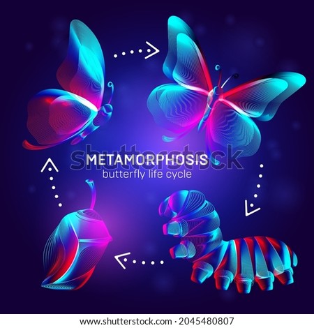 Metamorphosis concept. Butterfly life cycle banner. 3D vector illustration with abstract stereo neon silhouettes of insects - caterpillar, chrysalis and butterfly transformation process stages