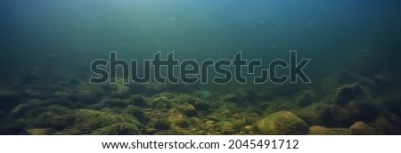 abstract underwater background in the lake, clean freshwater Royalty-Free Stock Photo #2045491712