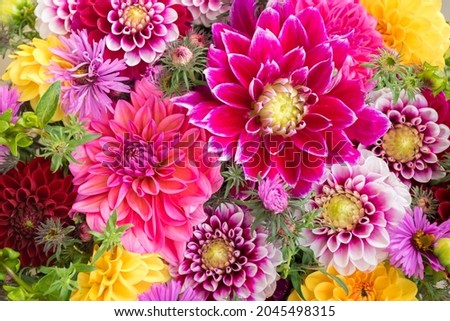 Seasonal summer or autumn background. bouquet or composition of flowers of dahlias, New England asters, red, purple and yellow shades or warm tones. Greeting card with anniversary, teacher's day Royalty-Free Stock Photo #2045498315
