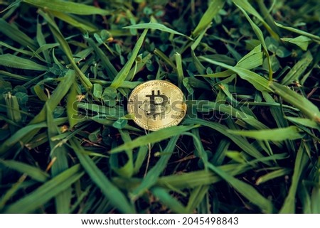 bitcoin on grass background. Business, finance, Account, Economy, trade and investment concept.