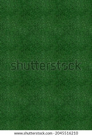 Green Grass .Background picture sky photo for best