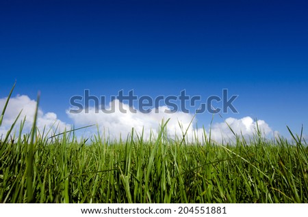Green grass against blue sky and white clouds background.Concept photo idea of empty land to build your own home house.Real estate and housing property market bank mortgage loans.No people. Copy space