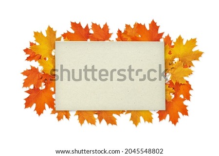 maple leaves laid out on a white background with paper placed on them. Place to place your text. Isolated design element. Autumn colors